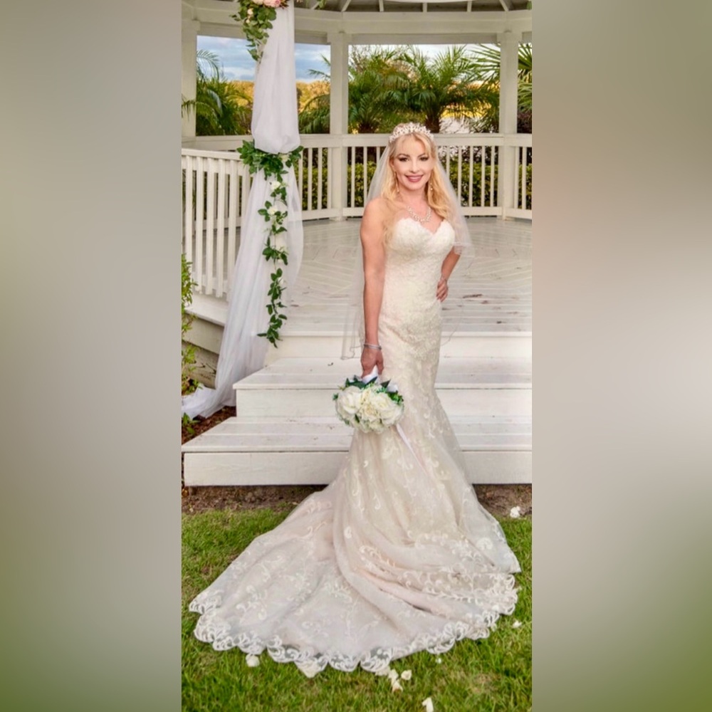 Maggie Sottero Signature wedding dress off white strapless with build  bustier